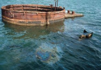 The Voices From Pearl Harbor Cry Out in an Oil Leak